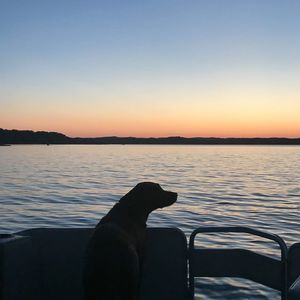 Meet your Posher, Kay